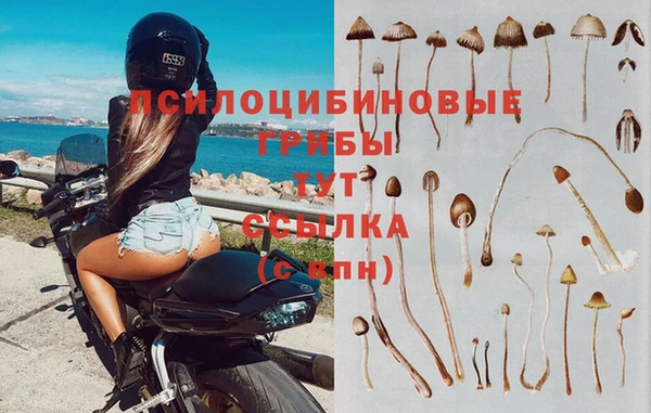 прущий лед Беломорск