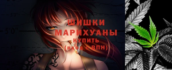 бошки Белокуриха