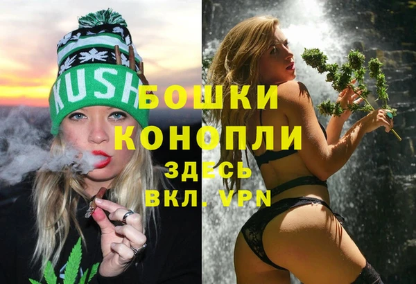 бошки Белокуриха
