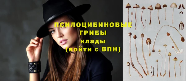бошки Белокуриха