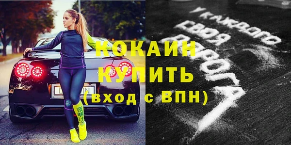 бошки Белокуриха