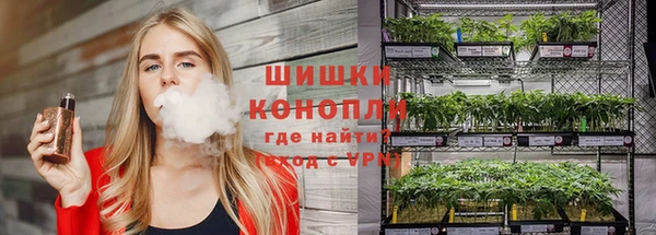 бошки Белокуриха