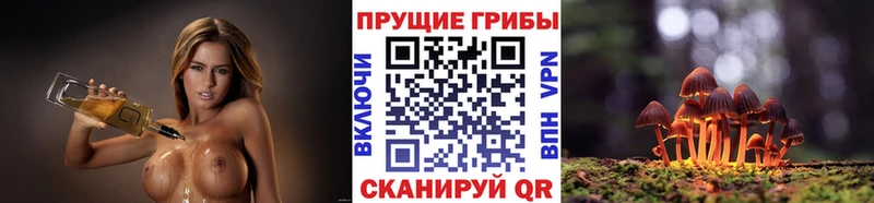 Купить где  Бирюсинск  Псилоцибиновые грибы мухоморы 